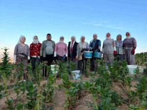 buldanda-kekik-ve-tutun-ureticileri-sezonun-tadini-cikariyor-vxZ1MYtt.jpg