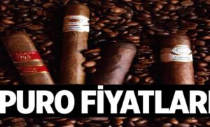 Puro Fiyatlari 1024x622Udy.jpg