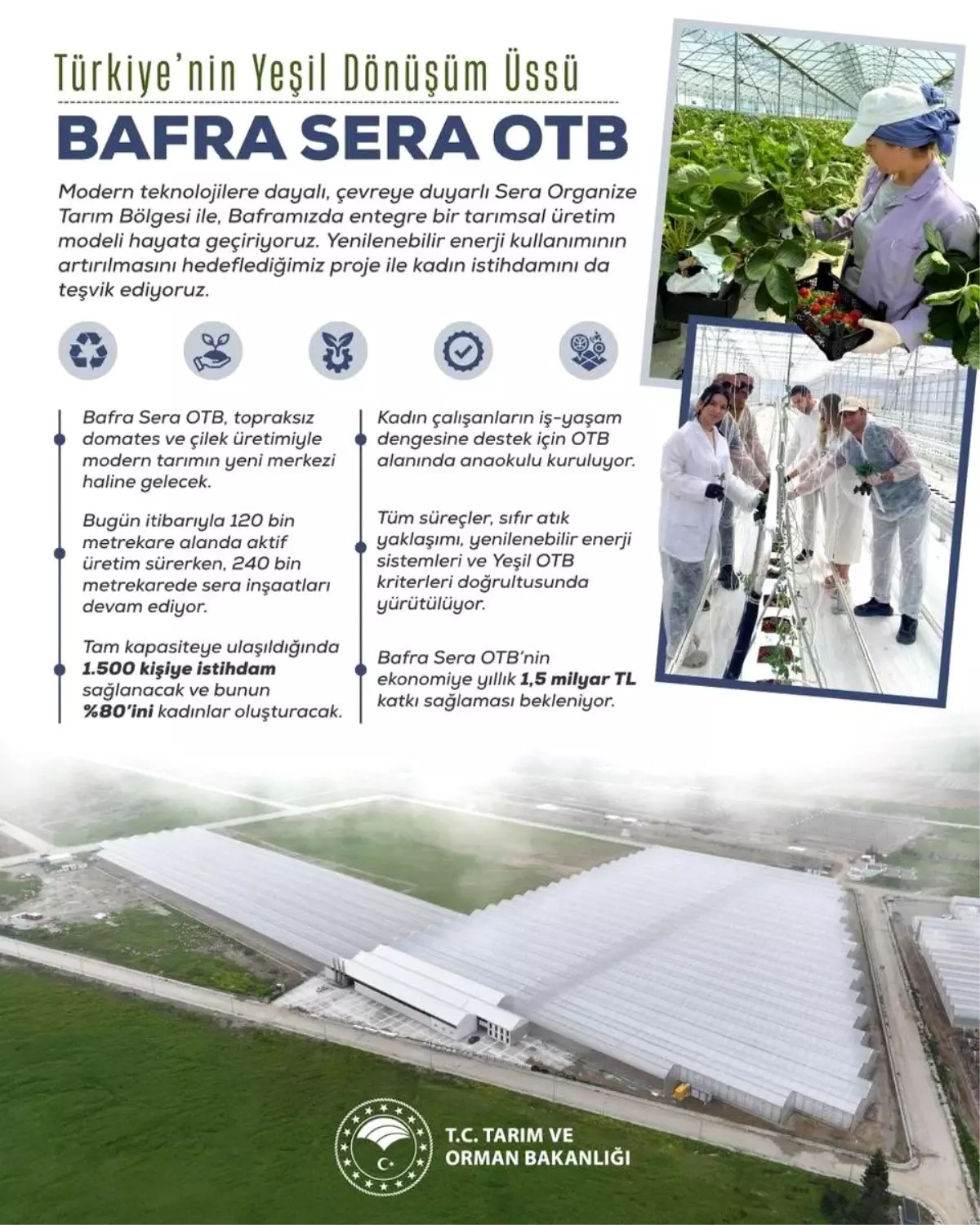 bafra sera organize tarim bolgesi projesi kadin istihdami ve ekonomik katki NJMVxGc7.jpg