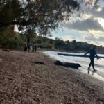 Bodrum’da Bot Faciası: 7 Göçmen Hayatını Kaybetti