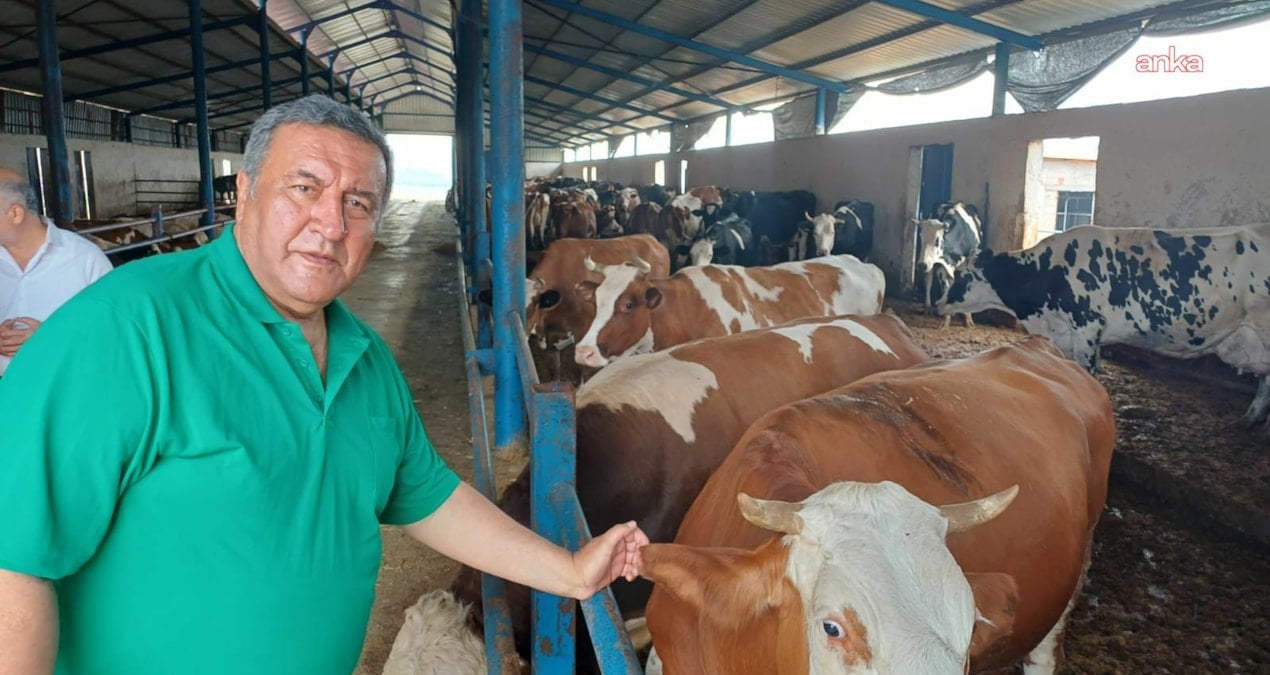 gurer et fiyatlarina isyan etti uretici degil ithalat kazaniyor WX34FkyP.jpg