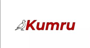 kumru ai sahibi kim yerli yapay zeka kumru ai kurucusu kim APRTxMRY.jpg