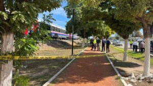 torununu kurtarmak isterken tren carpti FuGnPHHj.jpg