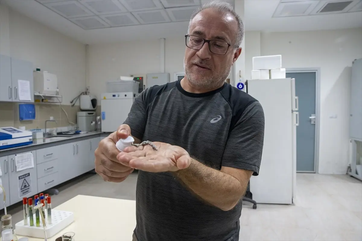 turk akademisyenler murekkep baligindan cilt onarici ve koruyucu gunes kremi uretti lczjYKuO.jpg