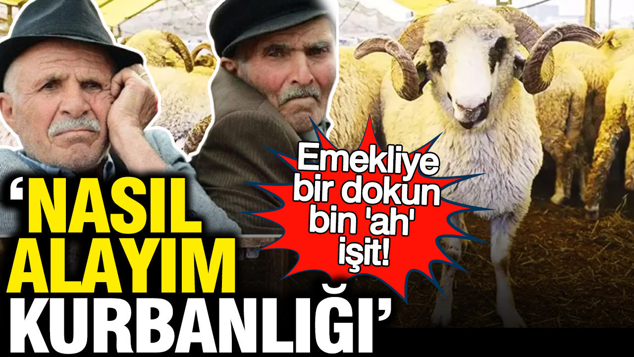 Emekliler Kurban Bayramı’nda Kurban Alacak Gücü Bulamıyor